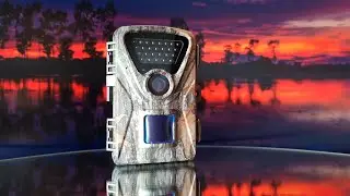 Garden Trail Camera | Before You Buy, WATCH THIS!