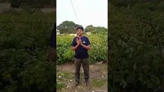 🙏vlog by DHRUV🙏🙏#dailyvlog #vlogars#viral vlogars #subscribe #like