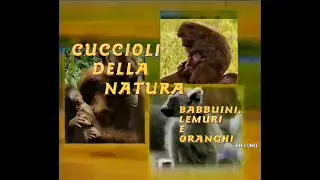 Cuccioli della natura: babbuini, lemuri e oranghi  