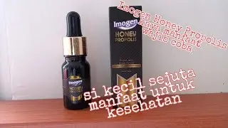 Imogen Honey propolis || Brazilian green propolis