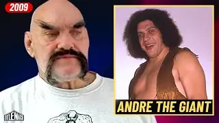 Ox Baker on Andre the Giant & When I 