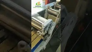Real Factory Fresh Noodle Making Machine Instant Noodles Making Machine Manufacturer