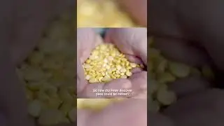 The Mighty Society - Pea Mylk Farm