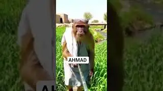 AHMAD k sth technologia 🤣🤣 #funnyvlog #automobile #ai #memes #desiinlondon #smartphone #comedy