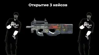 Открыл ТРИ кейса (надеюсь в этот рас нет ограничений из-за авторских прав)