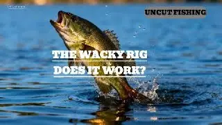 Does The Wacky Rig/Yum Dinger Work! Uncut Fall Kayak Fishing.