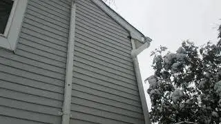Squirrel chewing into siding and facia board - Middlesex County NJ 732 698 8387