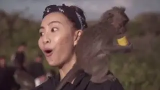 Monkey trouble for Sonia & #CastMeAirAsia winner in Bali!