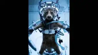 Guardians of the galaxy 🌌 vol. 3 Rocket 🚀raccoon🦊 Sad😭😭🥀Status /#shorts #rocketraccoon #viral