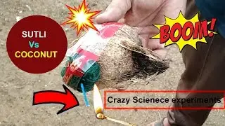 Sutli Vs Coconut Experiments || Science experiments || crazy experiments|sutli vs coconut ||spak tv