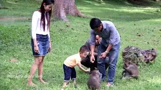 OMG! monkey meeting beautiful girl - monkey meeting group - funny monkey 2017