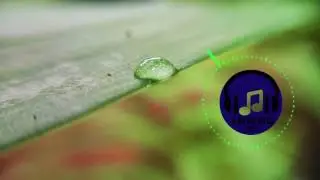 C418 - Living Mice (Seicos Chillstep Remix)