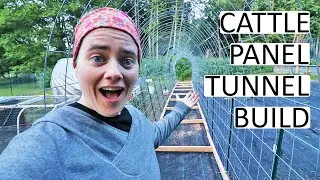Dos and Don'ts Of Building A Cattle Panel Tunnel and What's Digging In My Garden?!