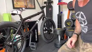 Kink switch 2022