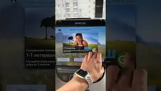 Закусился сам собой и побежал 