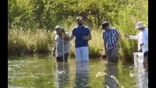 Scout Island