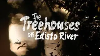 The Treehouses on Edisto River