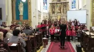 Pošli mě, půjdu já, Koncert k 20. výročí Scholy v Hlučíně