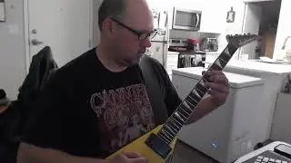 Shadows on the Fretboard: A Haunted Guitar Tale #241