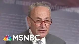 Chuck Schumer: John Bolton Testimony Goes To 'Heart Of The Charges Against The President' | MSNBC