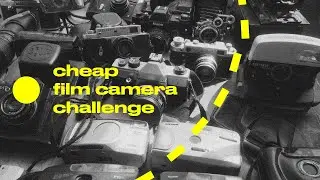 We Bought $5 Point And Shoot Film Cameras From A Flea Market