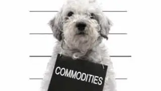Canadian Investment Newsletter - 20110517