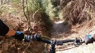 Mtb Allg&auml;u  Bildst&ouml;ckle Ostern 2020
