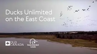 Old Canada Series & Ducks Unlimited Canada in Atlantic Canada