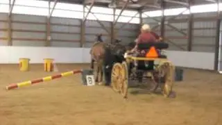 Carriage horses pair first obstacle course, Arena Driving