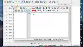 SPSS - Delete Variables