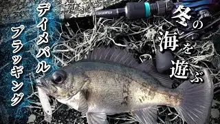 港湾メバルプラッギング【メバリング、ベイトフィネス】