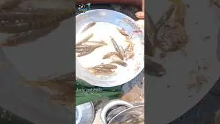 Ninja Technique for Catching Murai Fish. TraditionalFishing #shorts #viral #fishingtechniques #kokan