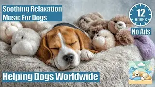 12 HOURS of Dog Relaxing Music 💖🦮 Music for Dogs: Anti-Anxiety, Relaxation, Peace, and Sleep