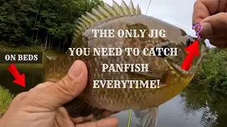 EASY Way To CATCH Panfish From The Bank | How To Catch BIG Bluegill  #fishing  #fishingvideo