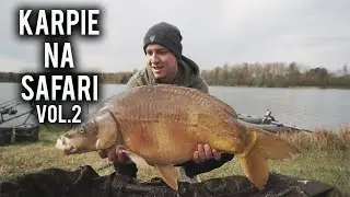KARPIOWA PRZYGODA #65 | KARPIE NA SAFARI | MAJÓWKA 2022 CZĘŚĆ 2