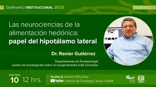Las neurociencias de la alimentación hedónica: papel del hipotálamo lateral
