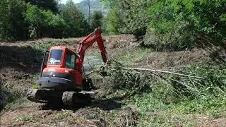 Leading Land Clearing Services In Omaha NE | Omaha Junk Removal