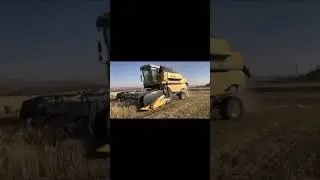 2021 Hasat Zamanı #SHORTS #bi&ccedil;erd&ouml;ver #combineharvester