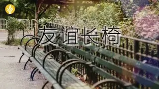 1月3日《灵命日粮》文章视频-友谊长椅