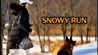 펑펑 내리는 눈 사이로, 하루와 함께 달리는 시골길 | Winter Guardian: Snowy Run
