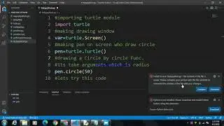 How to Clone Or Make circle in Python by using turtle.