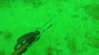 Dive stump pass