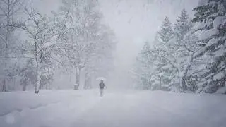 Walking Into a Whiteout Blizzard at Nakajima Park | Sapporo, Hokkaido