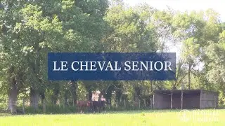 Minute Santé Boehringer - Le cheval senior