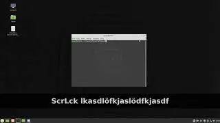 Cinnamon launch shortcut focus issue