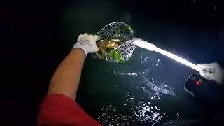 Vớt cua 🦀 ở Netarts bay, Oregon, Hoa Kỳ October 2022