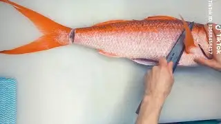 Amazing Cutting Fish - Processing Big Harvest Season 2020 (#10)