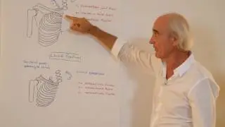 JEAN-PIERRE BARRAL - Advanced Visceral Manipulation - THORAX - Trailer