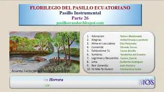 Pasillo Instrumental Parte 26