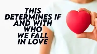 The Science of Love: 7 Key Factors That Influence Our Relationship Choices